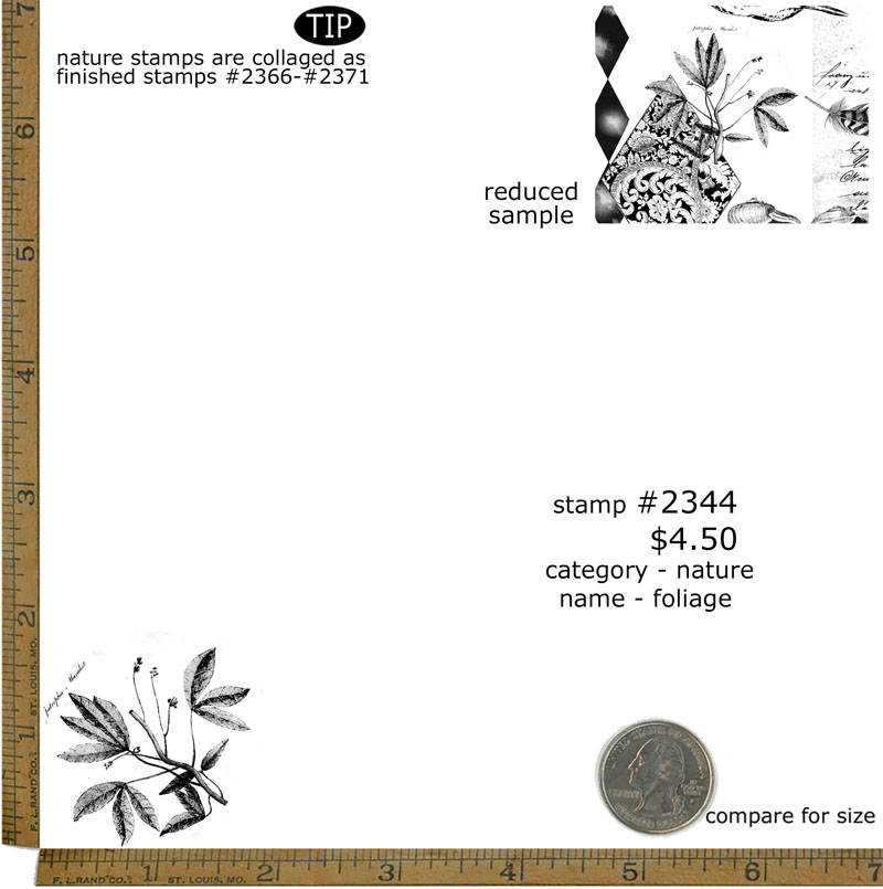 #2344 - Foliage - Nature